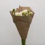 White Dahlia (Bulk DIY)