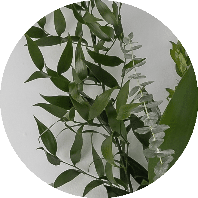 tropical greens icon