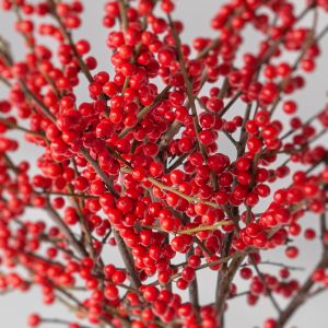 Bulk Assorted Flowers