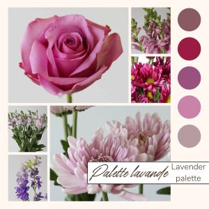 Lavender Bulk Flowers