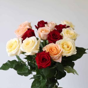 Bulk 40 cm Roses