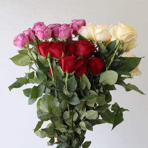 Bulk 70 cm Roses