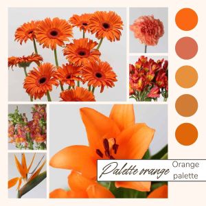 Orange Bulk Flowers