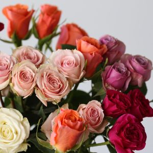 Bulk Spray Roses