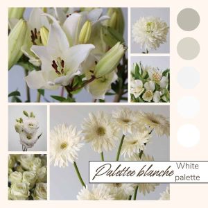 Cream & White Bulk Flowers