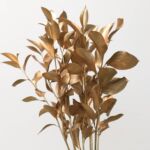 Bronze Tinted Israeli Ruscus