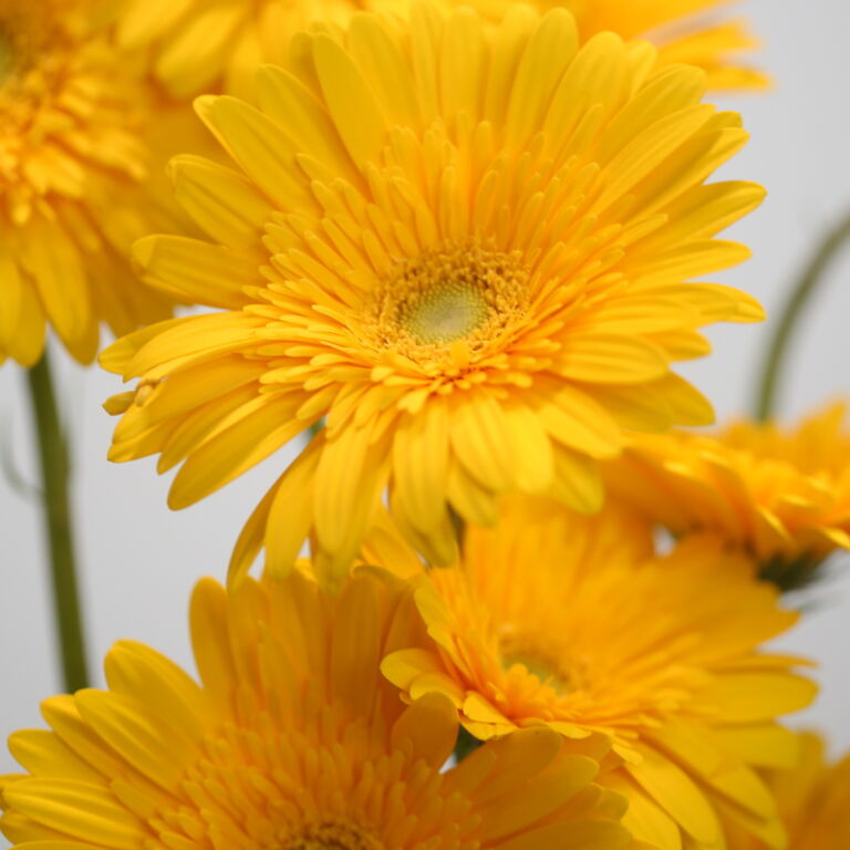 featured-image-1765202469