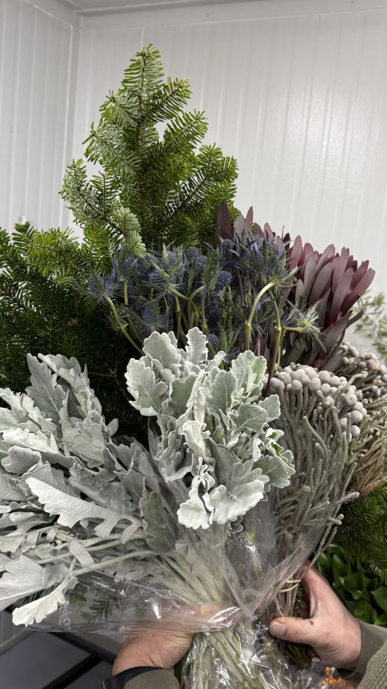 featured-image-1770040896