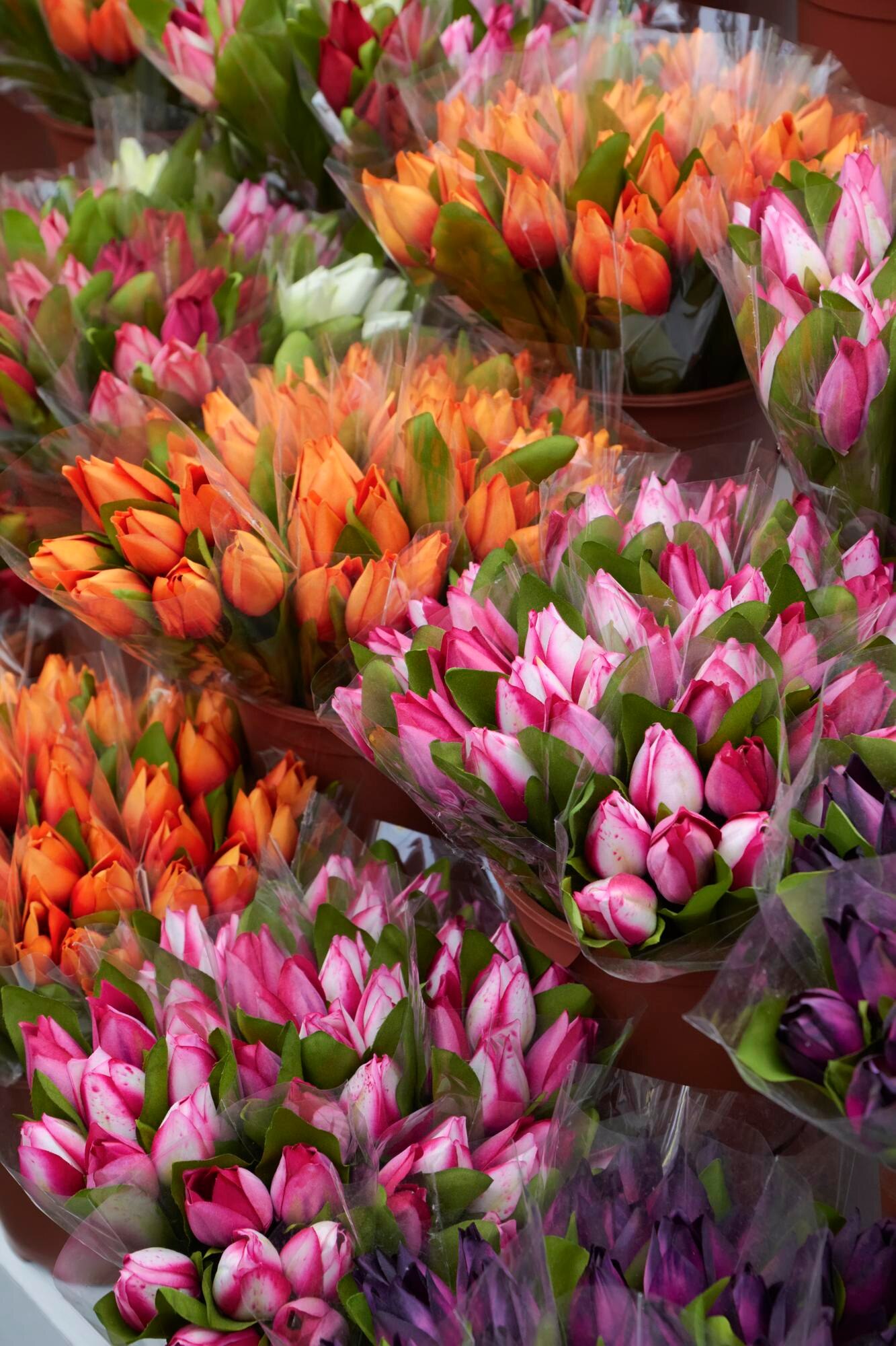 Les meilleurs conseils pour choisir et conserver vos fleurs en vrac à Montréal en 2026 : fraîcheur et budget maîtrisé