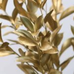 Gold Tinted Israeli Ruscus