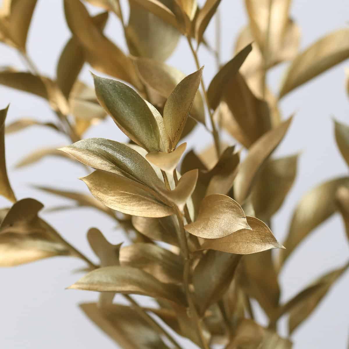 Gold metallic Israeli ruscus foliage close-up showing texture and painted finish