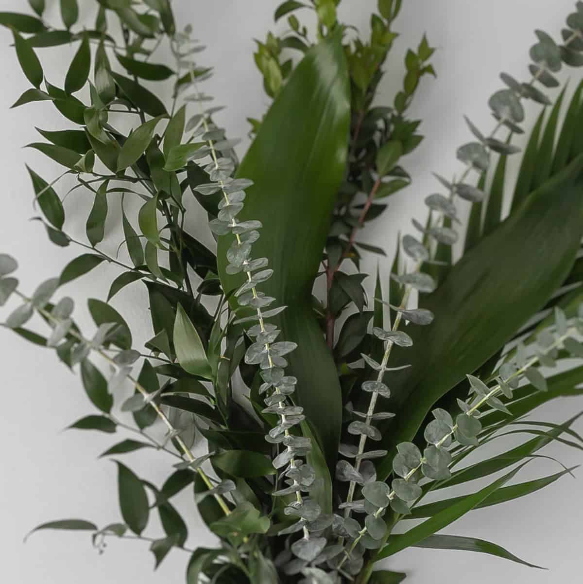 Close-up of mixed greenery bouquet with eucalyptus, aspidistra and layered foliage textures