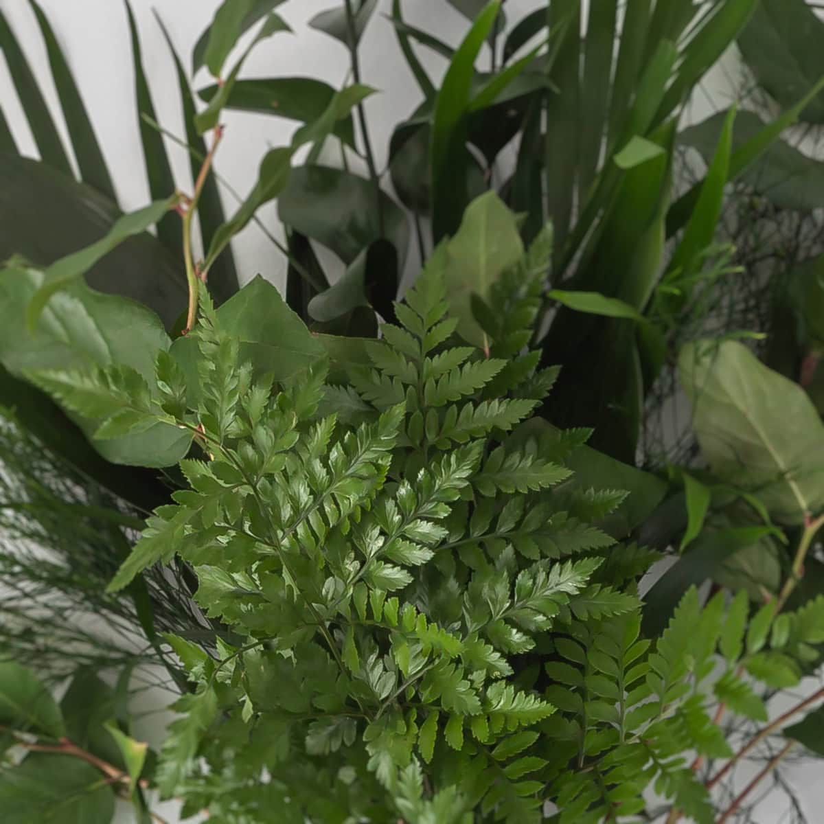 Close-up of mixed greenery bouquet with ferns, palm leaves and assorted foliage textures