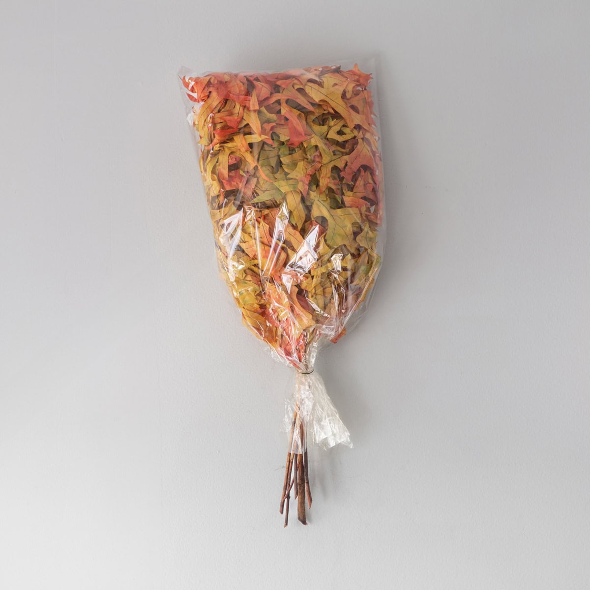 Preserved Oak Branches