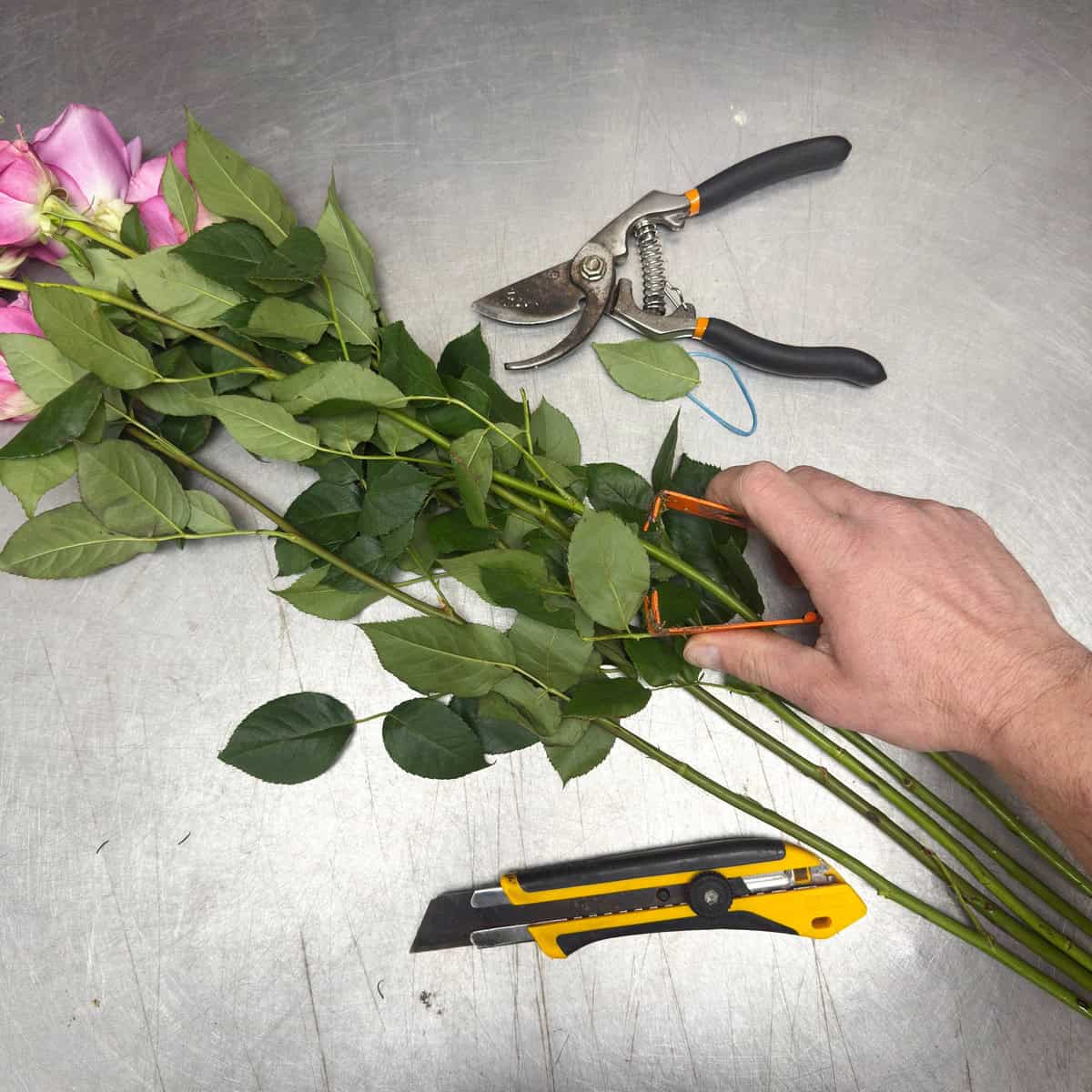 Rose Preparation Service (10)
