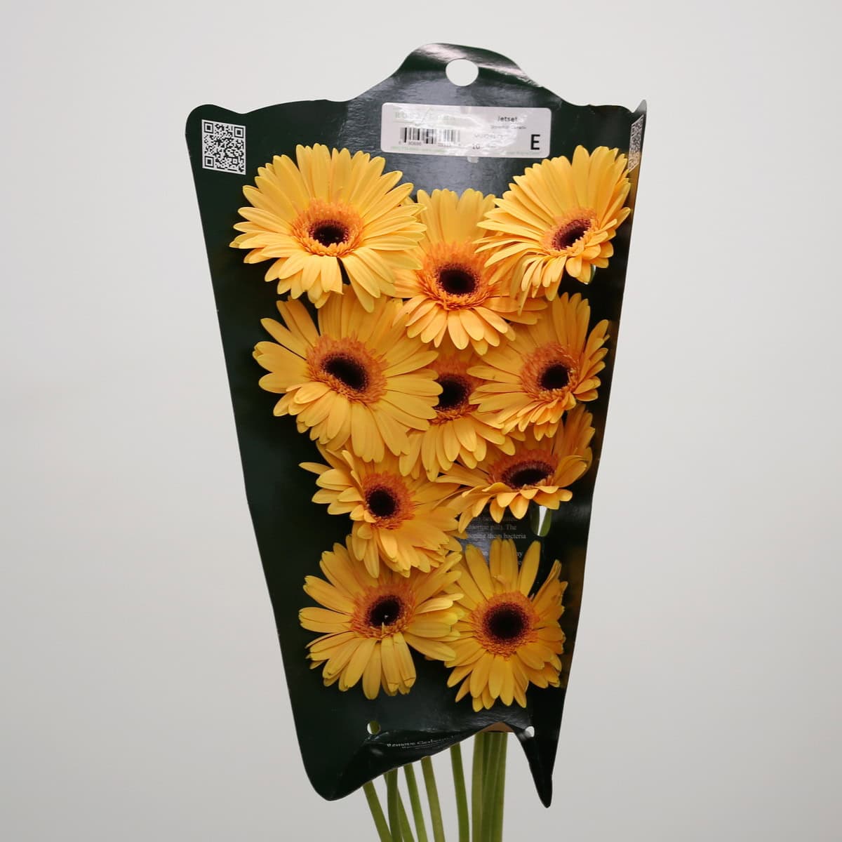 Bunch of Gerbera Jetset orange flowers in protective shipping sleeve.