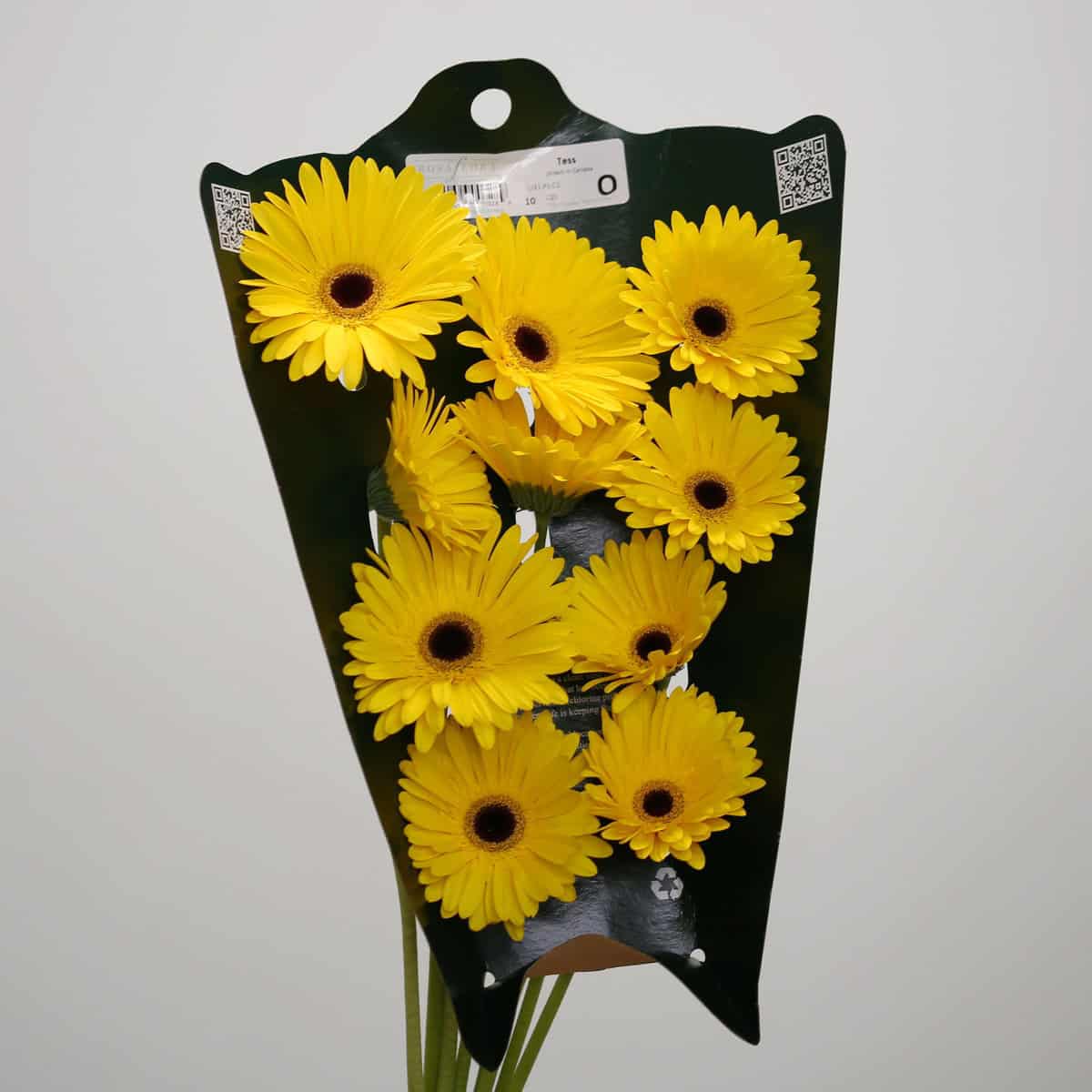 Bunch of Gerbera Tess yellow bulk gerbera flowers packaged in a protective shipping sleeve.
