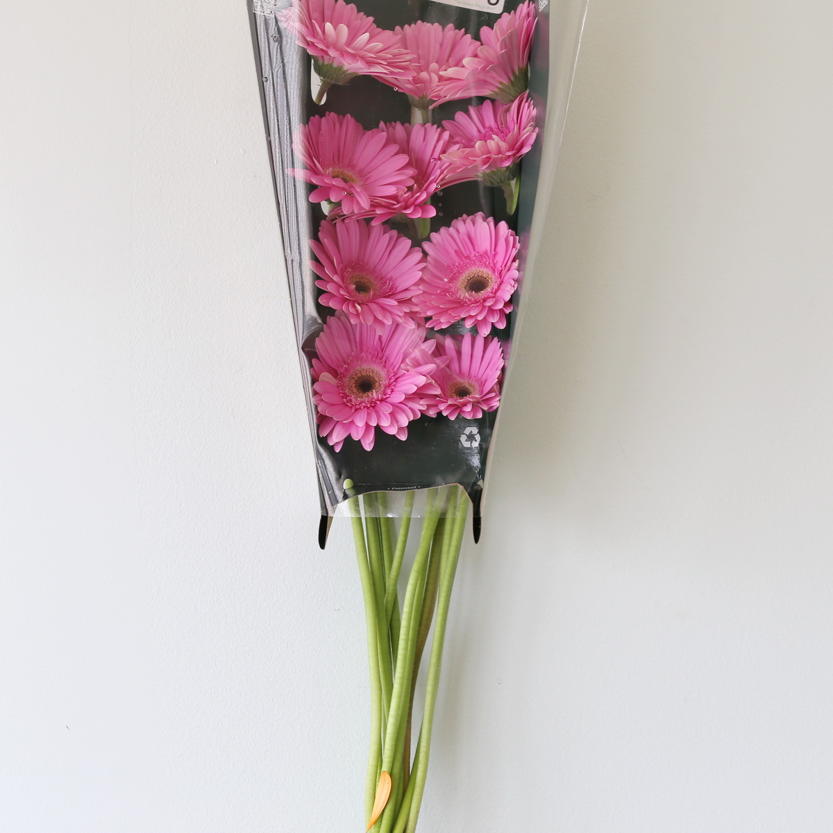 Bunch of Dreamer Pink Gerberas wrapped for shipping, sold in bulk for weddings and events.