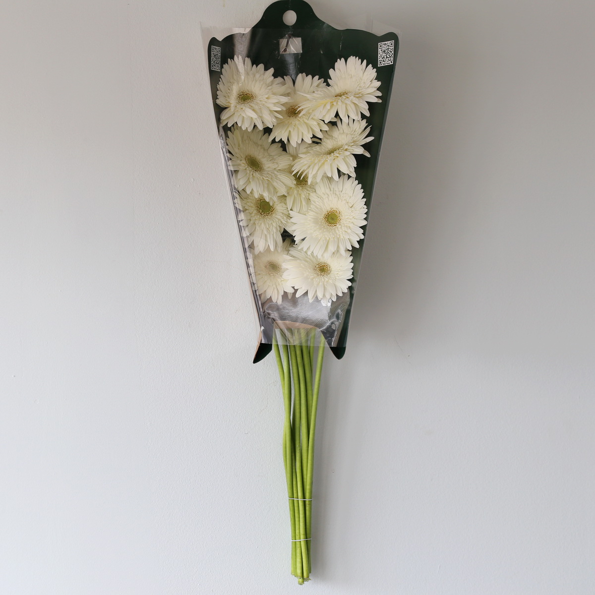 Gerbera Balance white flowers in protective packaging