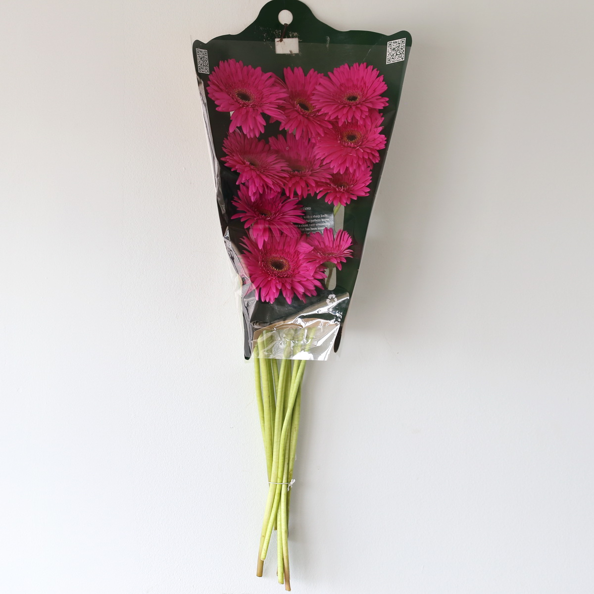 Gerbera Madeira fuchsia flowers in bulk packaging