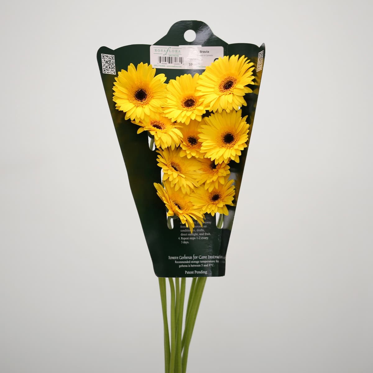 Mini Gerbera Bravia yellow flowers in wholesale bunch packaging