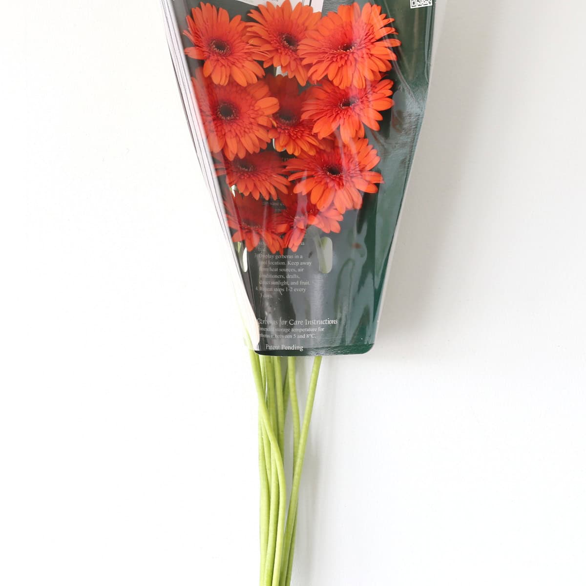 Mini Gerbera Caramba orange flowers in protective packaging
