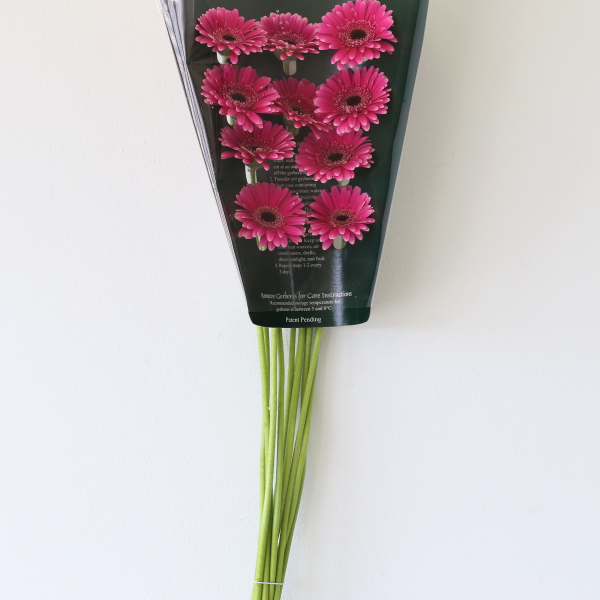 Packaged bunch of Mini Gerbera Design Fushia flowers