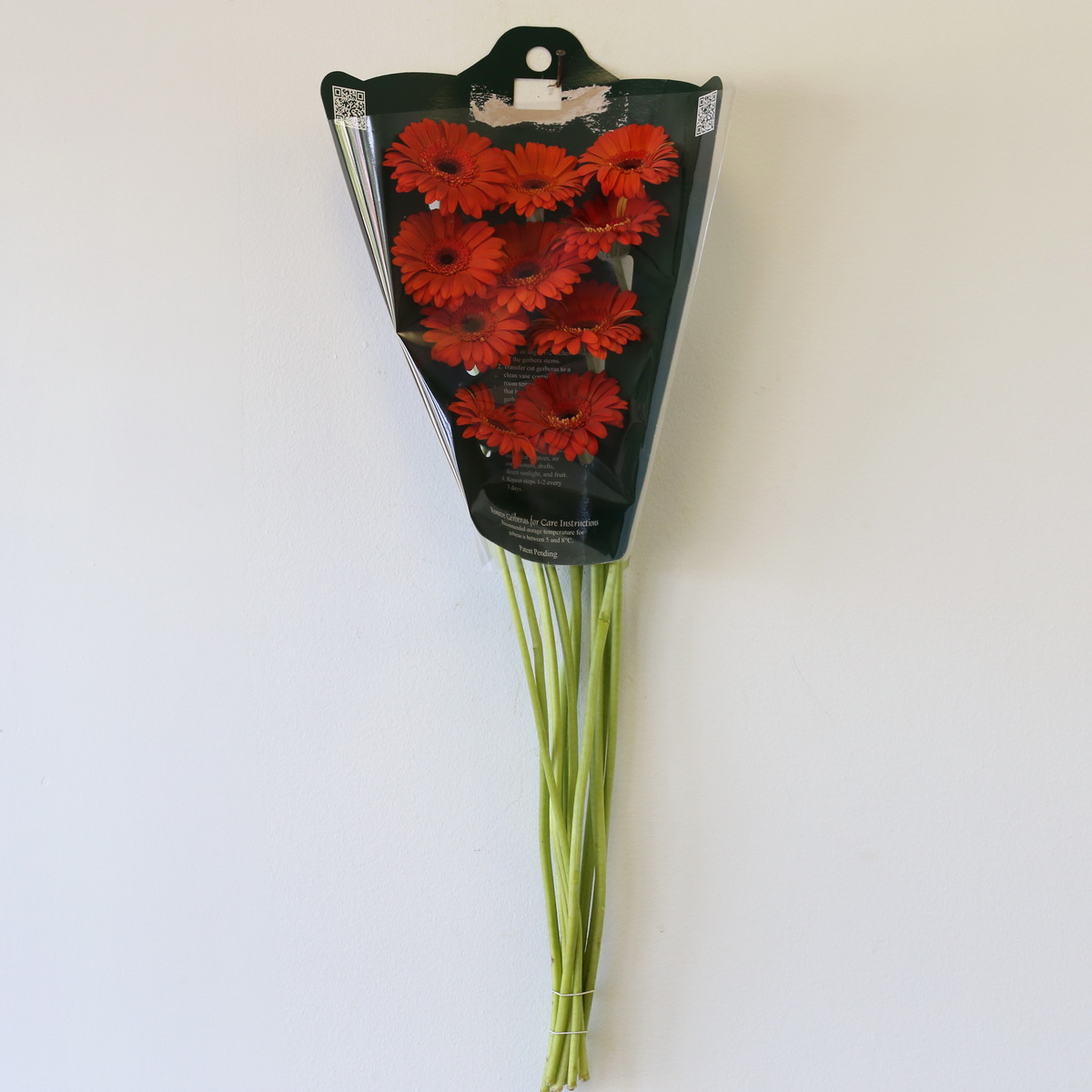 Mini Gerbera Jordy bunch in protective packaging