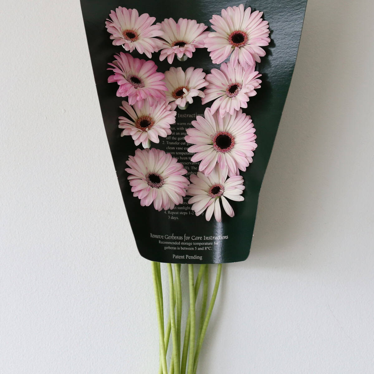 Mini Gerbera Lollipop flowers in protective packaging