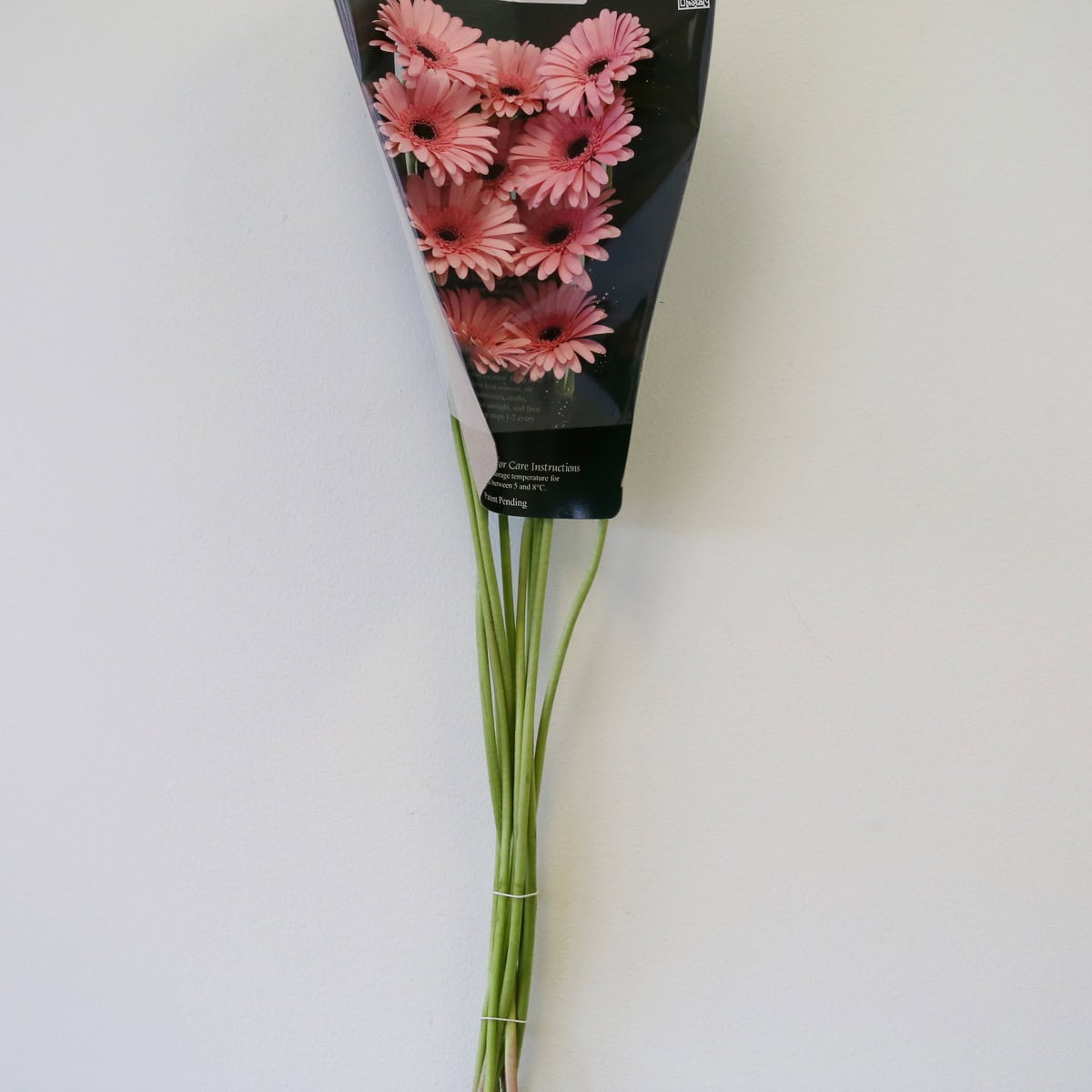 Packaged bunch of pink Mini Gerbera Smart flowers