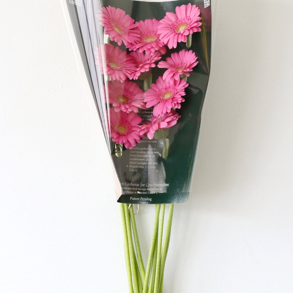 Mini Gerbera Babble light pink flowers packaged by the bunch