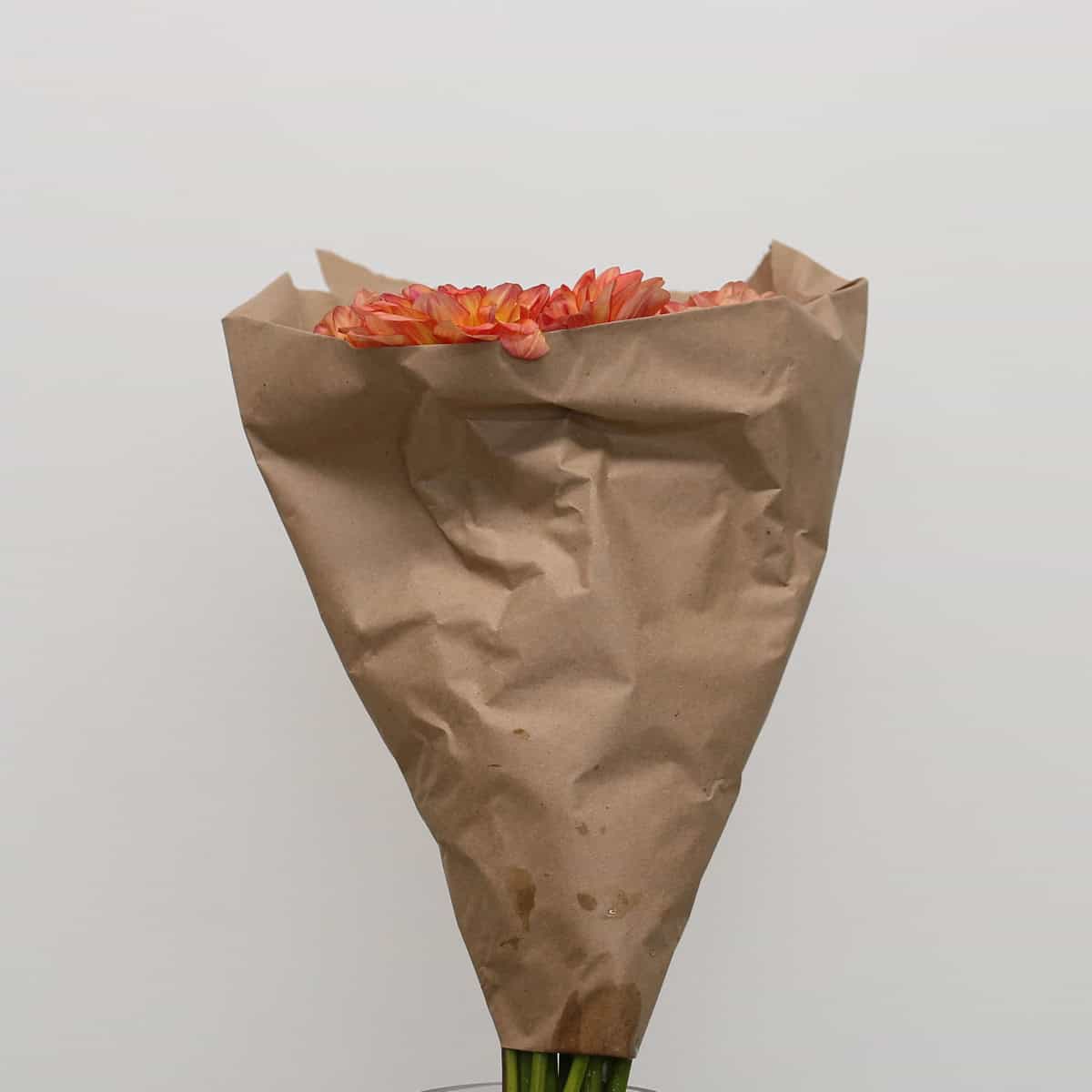 Bunch of locally grown orange dahlias in kraft paper