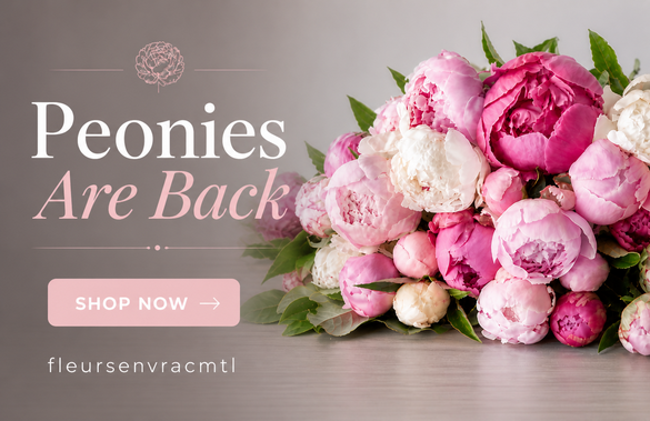 Fresh bulk peonies bouquet in Montreal – seasonal flowers for weddings and events
